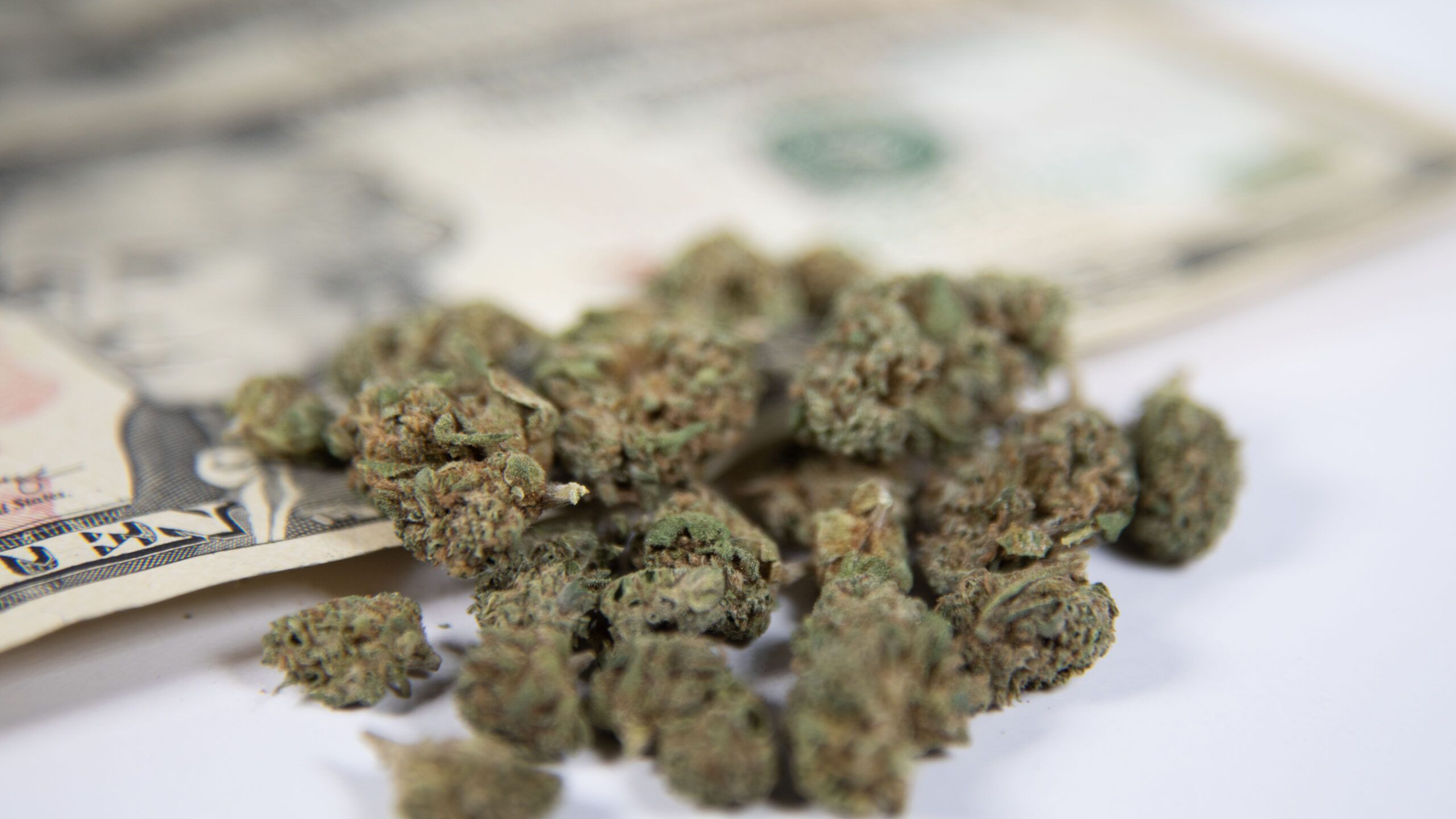 Tipping Cannabis Delivery Drivers: Navigating Etiquette and Expectations
